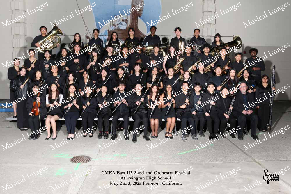 Musical Images